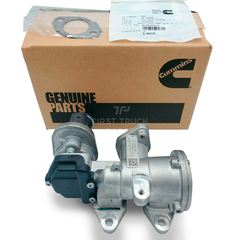 OEM Cummins® EGR Exhaust Gas Recirculation Valve, Kit - 704200AT