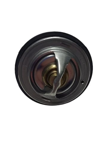 62064020088 | Genuine International® Thermostat