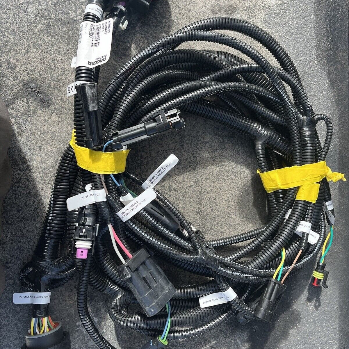 P/N: P92-3979-32210 Genuine Paccar® Transmission Harness P/N: P92-3979-32210 Genuine Paccar® Transmission Harness